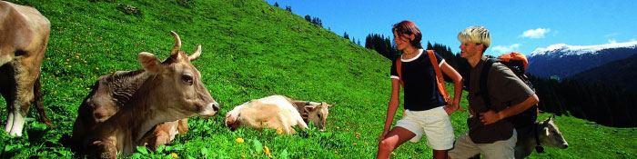 head urlaub auf dem bauernhof graun vinschgau