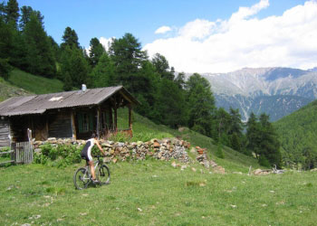 sommer mountainbike graun reschenpass vinschgau südtirol